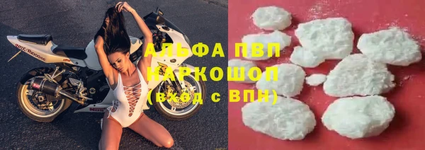 прущие крисы Алзамай