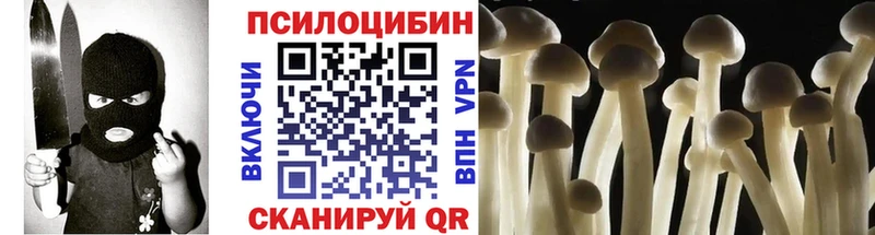 Галлюциногенные грибы Psilocybe продажа наркотиков Жуковский