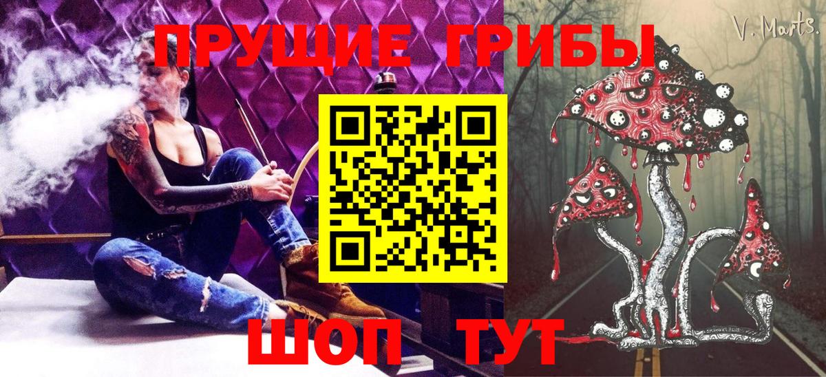 Жуковский  Галлюциногенные грибы мухоморы  Вход с VPN 