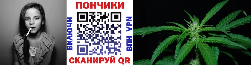 Бошки Шишки MAZAR  где можно купить наркотик  Жуковский 